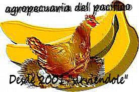 Agropacifico